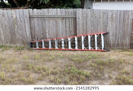 Similar – Image, Stock Photo A ladder leaning against a tree for pruning, under a blue sky with clouds of sheep