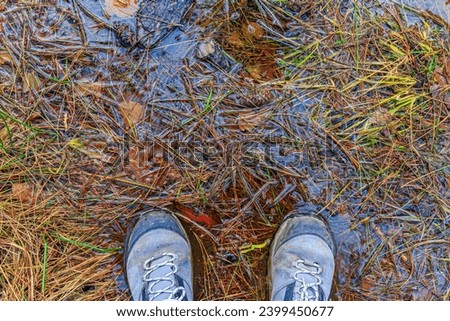 Similar – Image, Stock Photo Boots over puddle top view