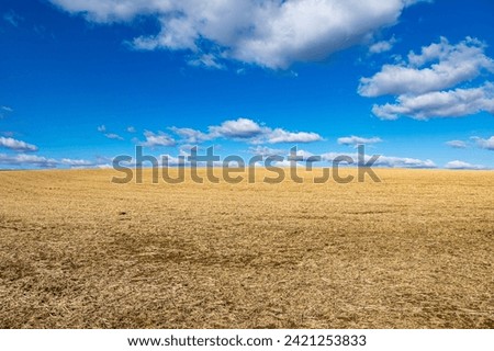 Similar – Image, Stock Photo Straw, golden against blue background