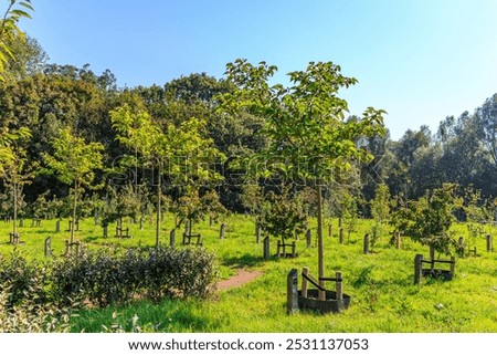 Similar – Foto Bild Bauernhof bauernhof