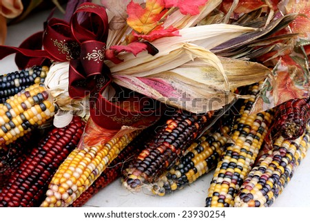 Indian Corn With Ribbon