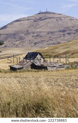 View of old farm building in front of Steptoe Butte, Palouse Valley, eastern Washington State