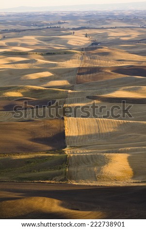 View over patchwork of farms in autumn, Palouse Valley, eastern Washington State