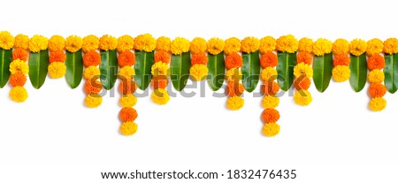 Similar – Image, Stock Photo colorful marigolds