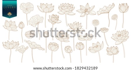 Lotus Vector element. Golden lotus line arts design for packaging template, pattern design element, vintage background, luxury logo, beauty and cosmetic wallpaper vector illustration.