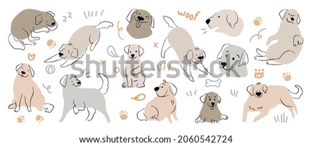 Cute Golden Retriever and Labrador Retriever dog hand drawn vector set. Cartoon dog or puppy characters design collection with flat color in different poses.