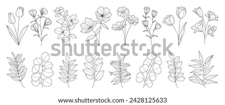 Set spring botanical hand drawn vector element. Collection of foliage, leaf branch, floral, flowers, eucalyptus in line art. Minimal style blossom illustration design for logo, wedding, invitation.