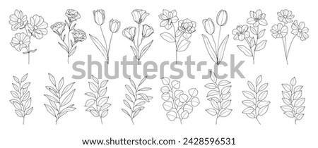 Set botanical hand drawn element vector. Collection of foliage, branch, floral, leaves, wildflower in line art. Minimal style blossom illustration design for logo, wedding, invitation, decor.