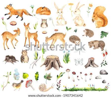 Watercolor Forest Animals elements with cute little deers, foxes, squirrel, hedgehogs, owls, bear, hares, stumps, mushrooms, flowers, twigs, grass, butterfly and dragonfly