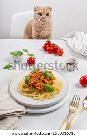 Shutterstock - PuzzlePix