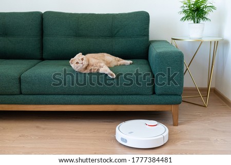 Robotic vacuum cleaner cleaning the room while cat relaxing on sofa. Housekeeping help, new technology, smart home, daily vacuuming. Side view