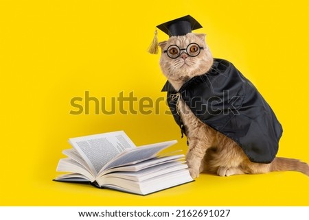 Funny scientist cat wearing glasses and sitting near open book. Concept of school, study, distant education, online courses, Teacher's Day, Knowledge Day, Back to school. Funny cat professor Photo stock © 