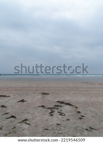 Similar – Image, Stock Photo Seaside on cloudy day