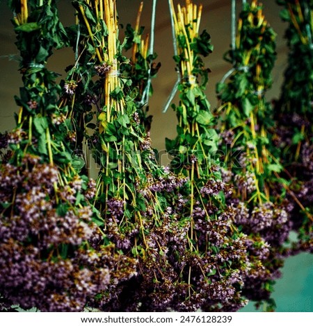 Similar – Image, Stock Photo Dried bouquet of flowers