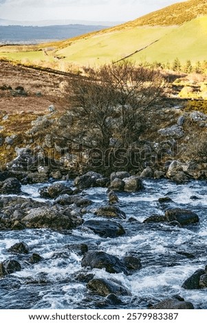 Similar – Image, Stock Photo Bare trees growing on volcanic island during eruption