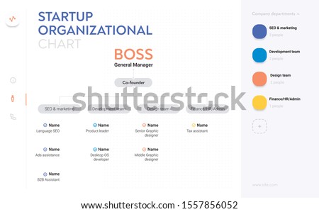 Structure of the company. Business hierarchy organogram chart infographics. Corporate organizational structure graphic elements. Company organization branches template. Modern vector info graphic.