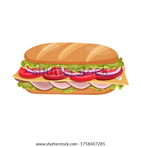 Tasty long baguette sandwich. Vector illustration