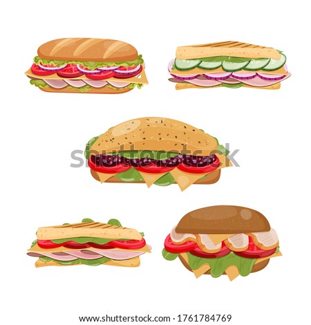 Set with sandwiches. Vector illustration