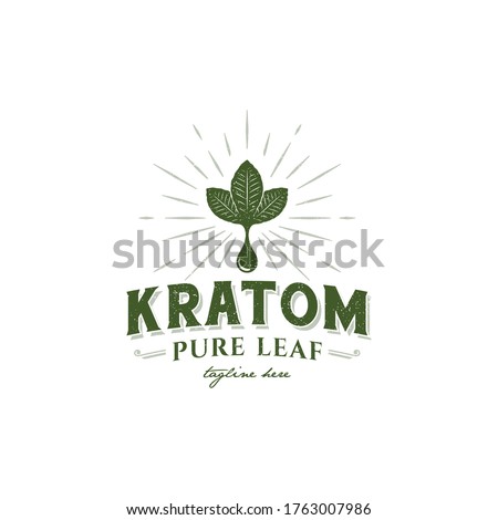 illustration logo vector graphic of vintage kratom leaf, good for kratom business logo