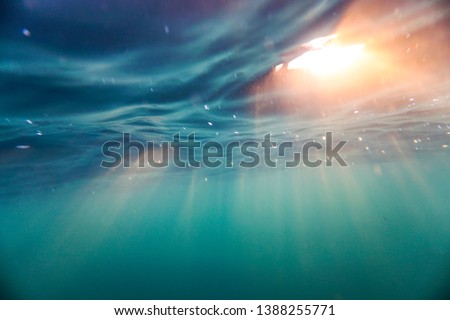 Similar – Image, Stock Photo Green forest and water aerial top view, copy space