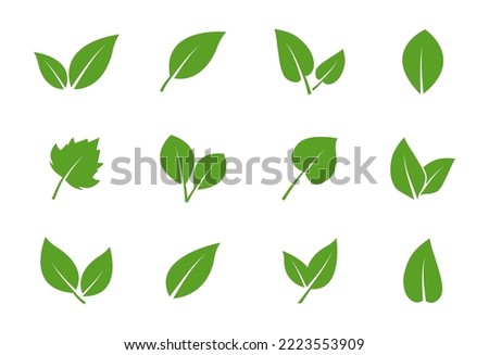 Leaves icon set. Green leaf icons. Leaves of trees and plants. Vector elements for eco, bio and vegan logos. Vector illustration.