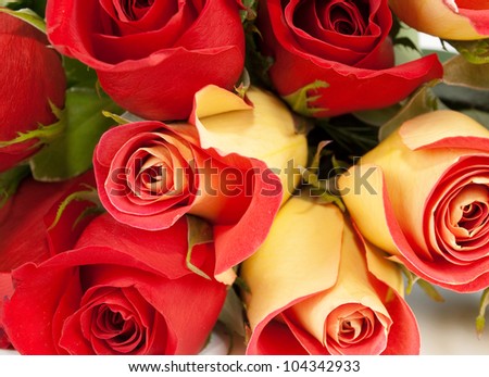 Roses red  bouquet isolated on white background