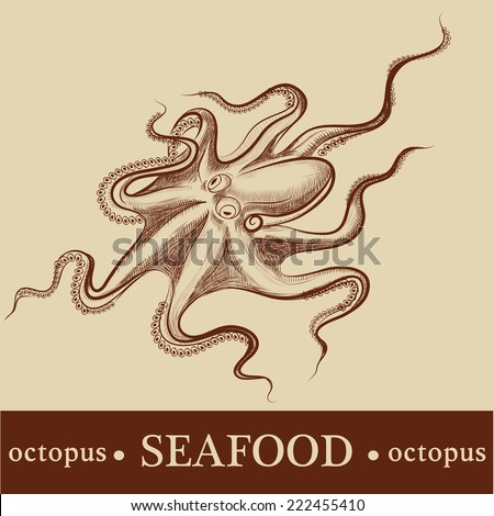 octopus. vector. detailed