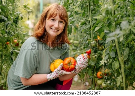 Similar – Image, Stock Photo Ripe red tomatoes in box