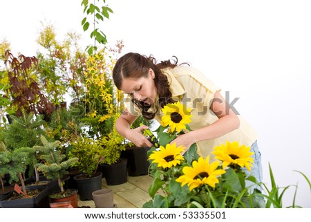 Gardening - woman cutting sunflowers and plants on white background
