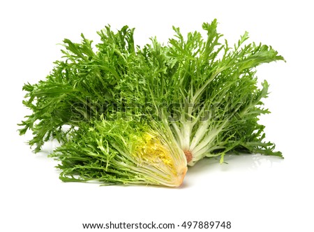 frisee lettuce Stock foto © 