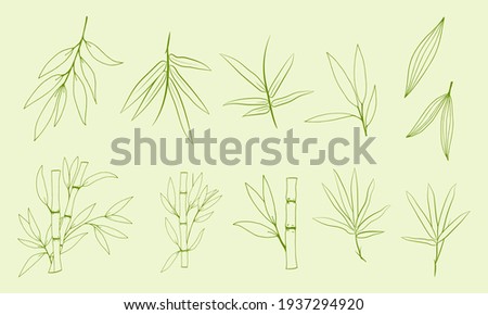 Hand drawn illustration with bamboo stem and leaves. Set of bamboo tree leaves. Hand drawn botanical collection. Silhouettes and shapes of bamboo plants for design.