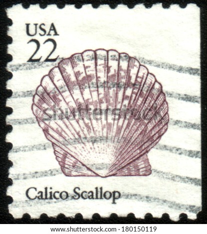 UNITED STATES - CIRCA 1985: stamp printed by United States of America, shows seashell Calico Scallop, circa 1985