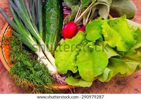 On the table on a ceramic dish are vegetables: a bright red radish with green leaves, cucumber, lettuce, onion and dill.