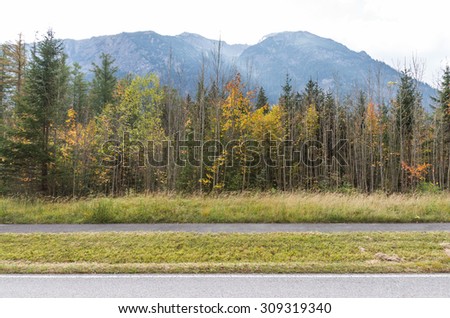 Forest and mountains along the country road in Bavaria, Germany in early autumn