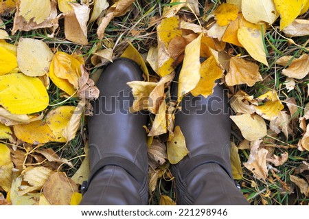 Walking in pair of boots in autumn leaves