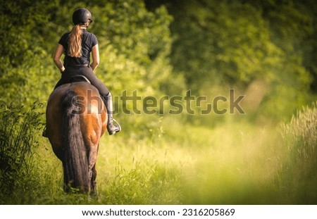 Similar – Foto Bild Männlicher Reiter auf fuchsfarbenem Pferd