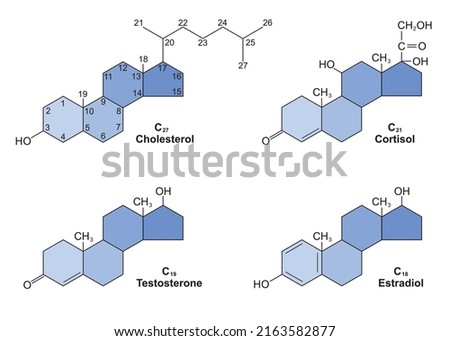 Cholesterol and some of the steroid hormones derived from cholesterol