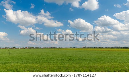 Summer countryside landscape with flat and low land under blue sky, Typical Dutch polder and water land with green meadow, Small canal or ditch on the field along the road, Noord Holland, Netherlands.