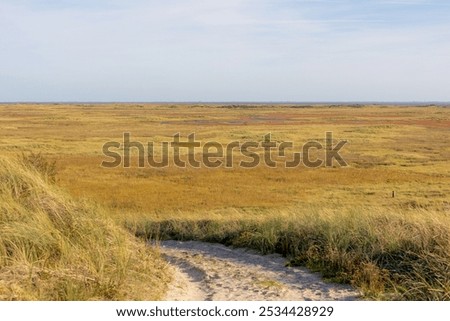 Similar – Foto Bild Überblick Landschaft