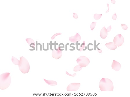 fluttered cherry blossoms petals background