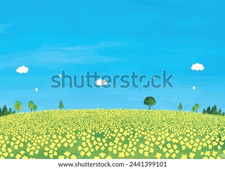 Similar – Image, Stock Photo rape blossom