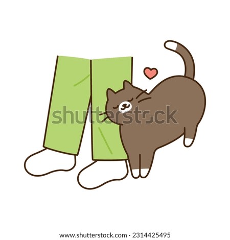 Cute cat. A black and chubby cat is showing off its charms by rubbing a person's leg.