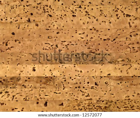 Blank natural cork texture