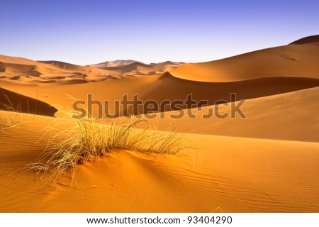 Moroccan desert dunes landscape. Desertification effects background.