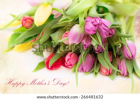 bouquet of tulips Mother\'s Day flowers on a drawing background vintage retro Sunlight is very soft selective focus