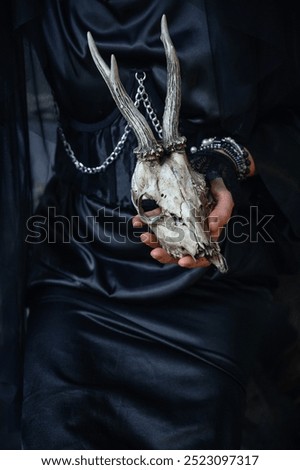 Similar – Image, Stock Photo Witch in black dress in dark forest