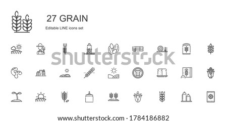 grain icons set. Collection of grain with wheat, corn, oat, field, seed, bread, cereal, proteins, beans, straw bale, hay bale, seeds, silo. Editable and scalable grain icon