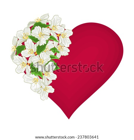 Valentine's Day heart with  white flowers Valentines day mothers Day vector illustration