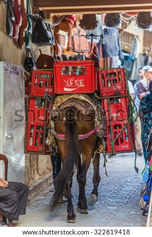 Fes, Morocco - Circa September 2015 - a heavy loaded donkey