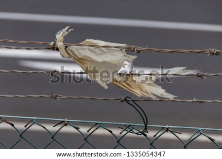 Similar – Image, Stock Photo Got the spike Environment
